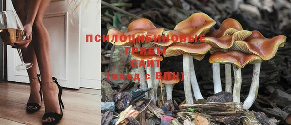 герыч Заводоуковск