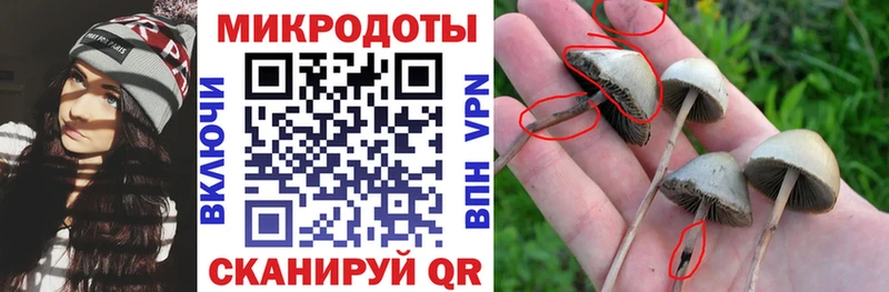 Галлюциногенные грибы MAGIC MUSHROOMS Губкин