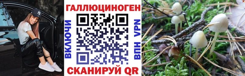 Псилоцибиновые грибы Magic Shrooms  Купить закладки  Губкин 