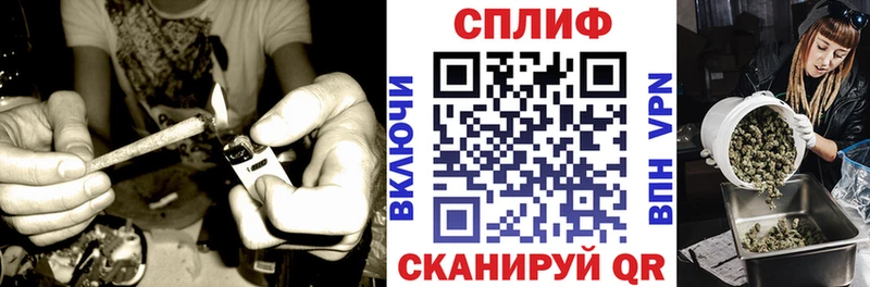 Купить где  Губкин  МАРИХУАНА план 